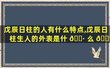 戊辰日柱的人有什么特点,戊辰日柱生人的外表是什 🌷 么 💮 样的